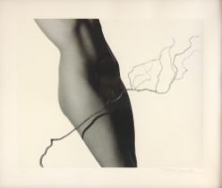 John Swannell (British, b.1946), 'Nude And Twig', Limited edition photographic print on paper, Blind