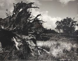 John Swannell (British, b.1946), 'Becky In Uprooted Tree', Limited edition photographic print on