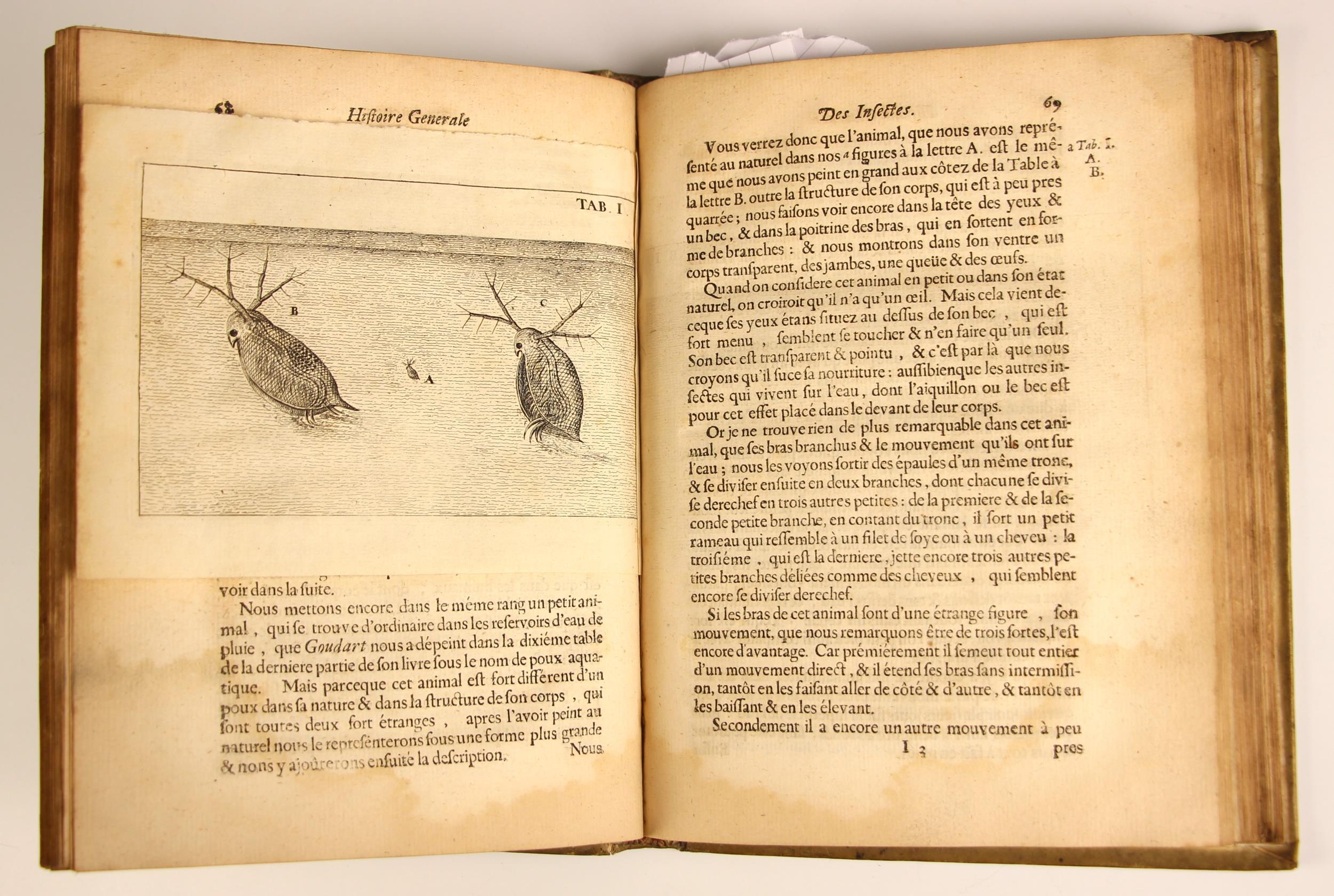 Swammerdam (Jean), HISTOIRE GENERALE DES INSECTES, full vellum, laid paper, fold-out annotation - Image 3 of 19