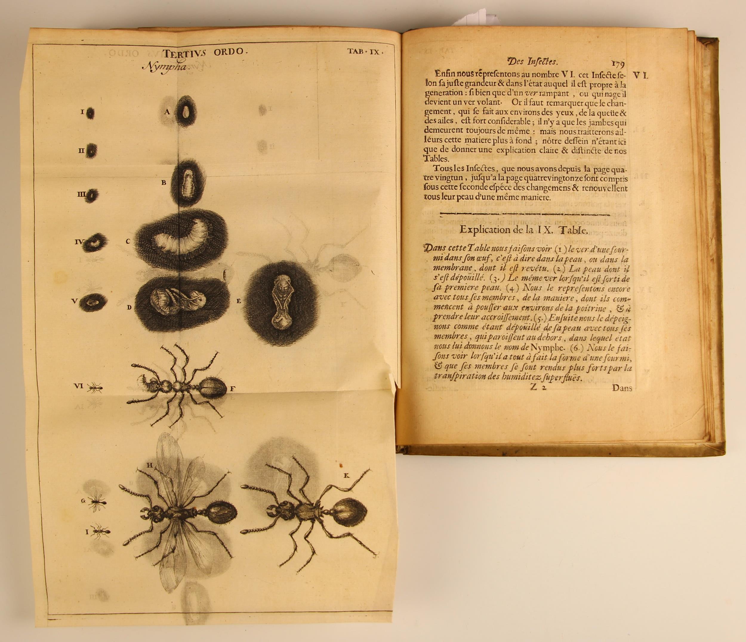 Swammerdam (Jean), HISTOIRE GENERALE DES INSECTES, full vellum, laid paper, fold-out annotation - Image 11 of 19