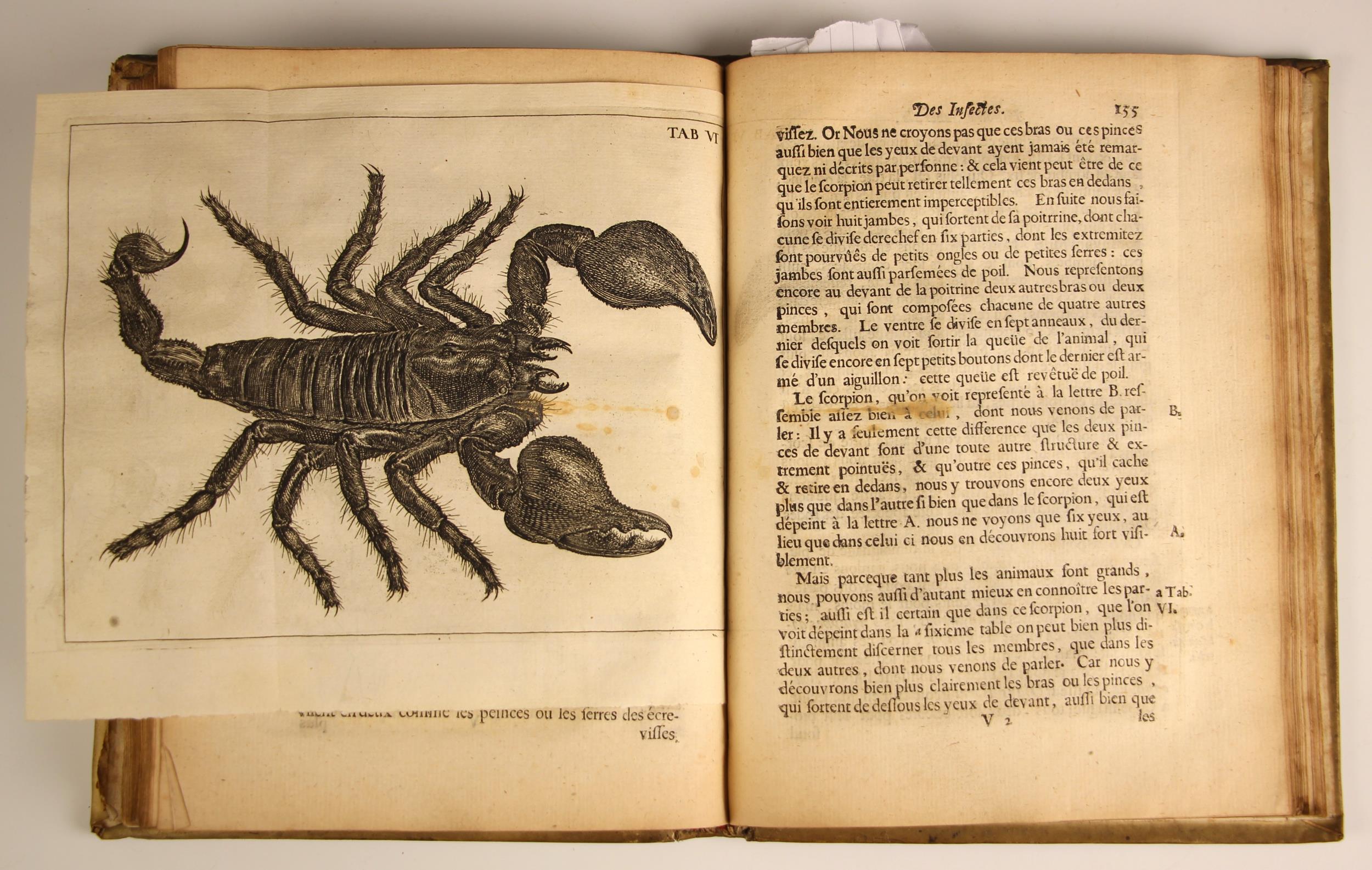 Swammerdam (Jean), HISTOIRE GENERALE DES INSECTES, full vellum, laid paper, fold-out annotation - Image 8 of 19