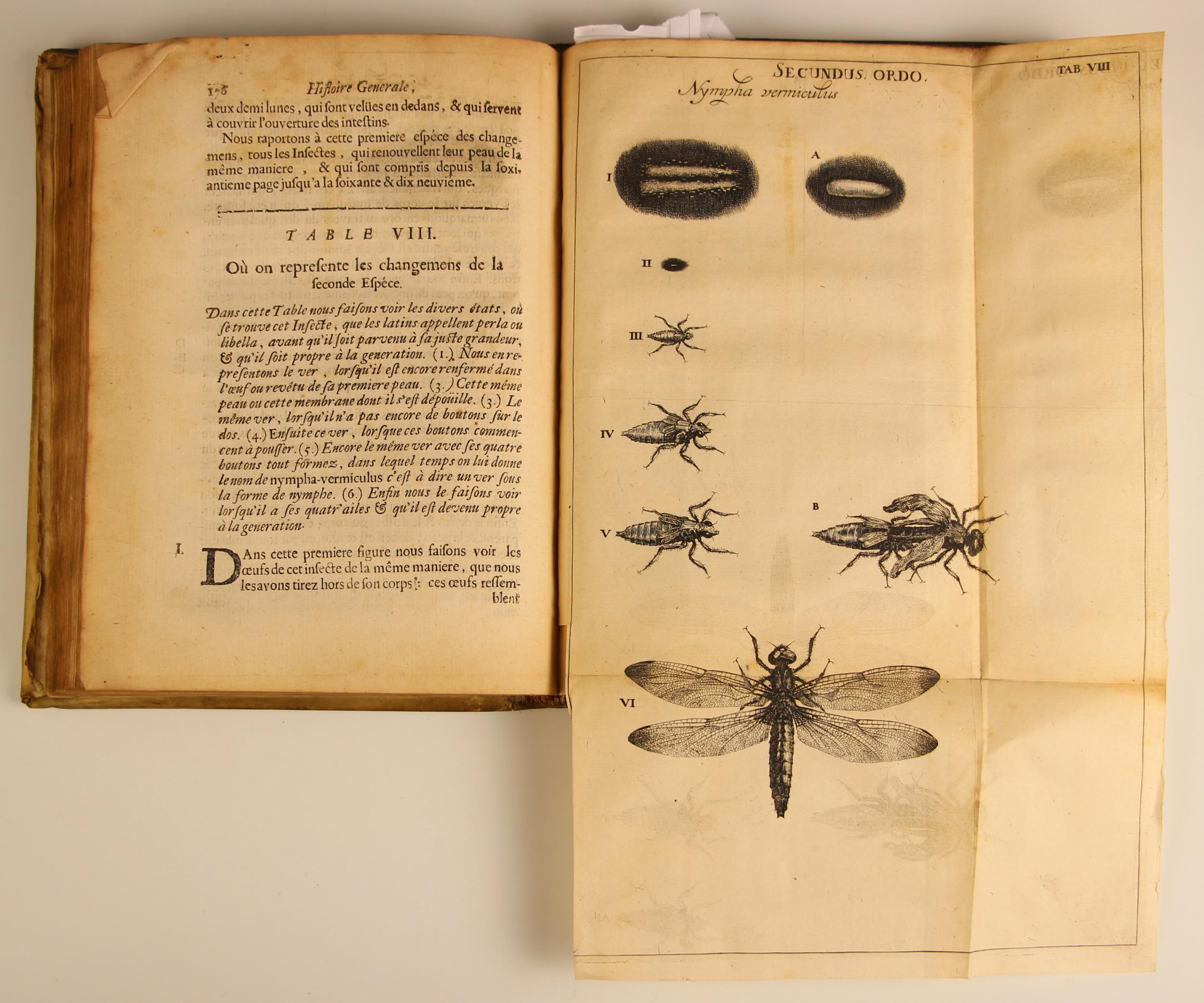 Swammerdam (Jean), HISTOIRE GENERALE DES INSECTES, full vellum, laid paper, fold-out annotation - Image 10 of 19
