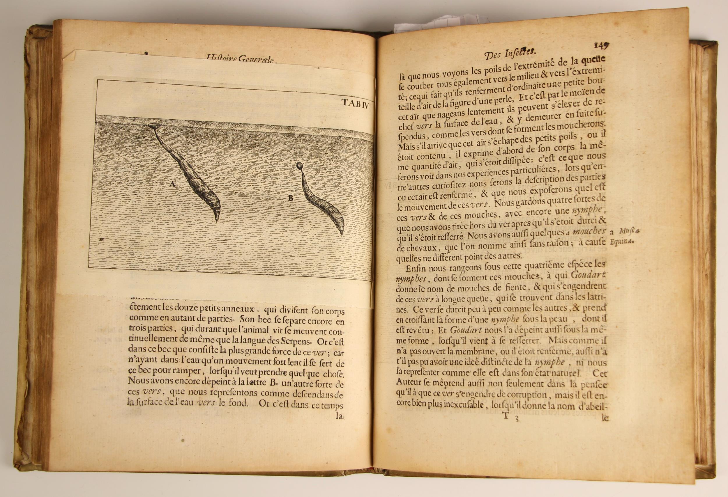 Swammerdam (Jean), HISTOIRE GENERALE DES INSECTES, full vellum, laid paper, fold-out annotation - Image 6 of 19