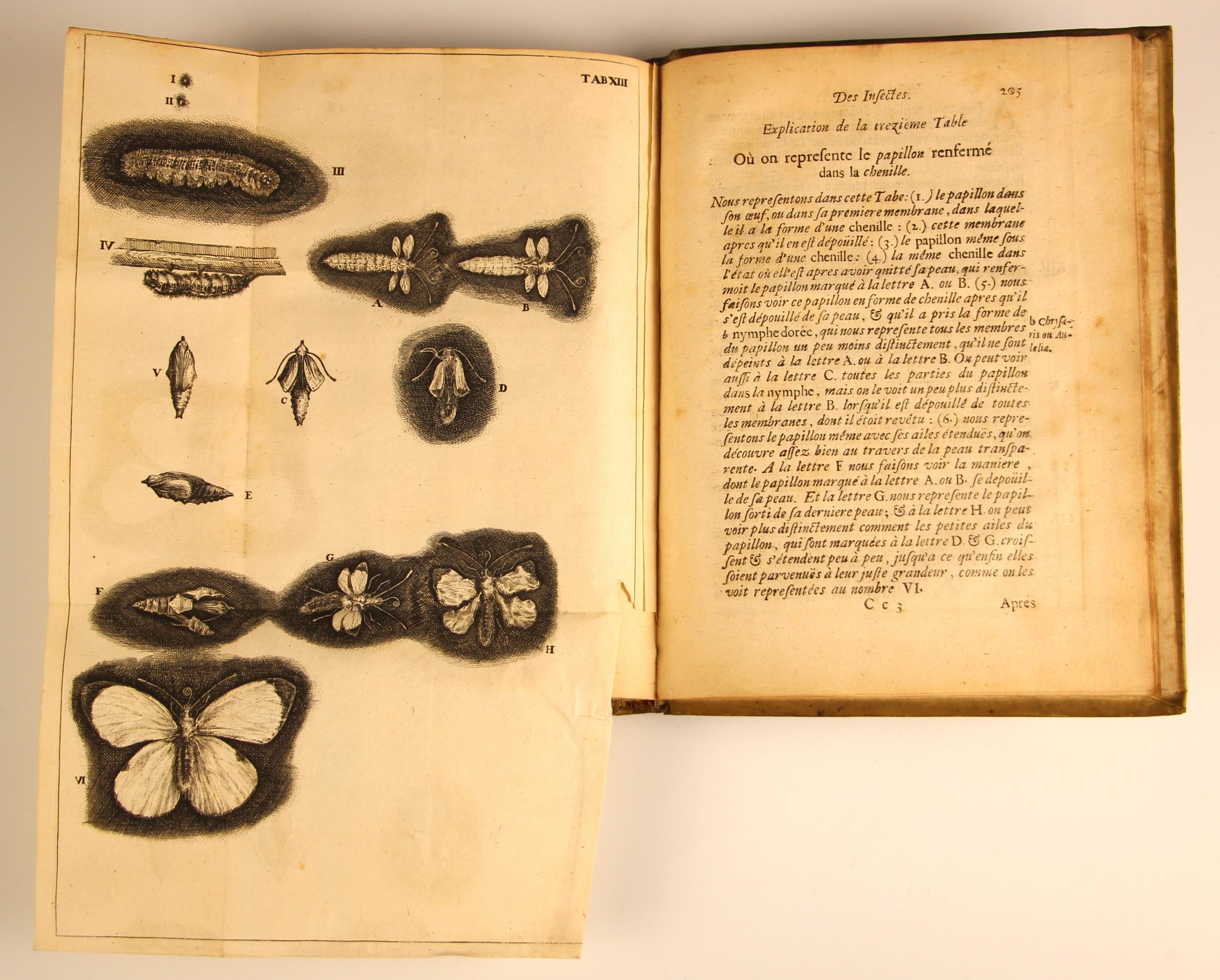 Swammerdam (Jean), HISTOIRE GENERALE DES INSECTES, full vellum, laid paper, fold-out annotation - Image 14 of 19