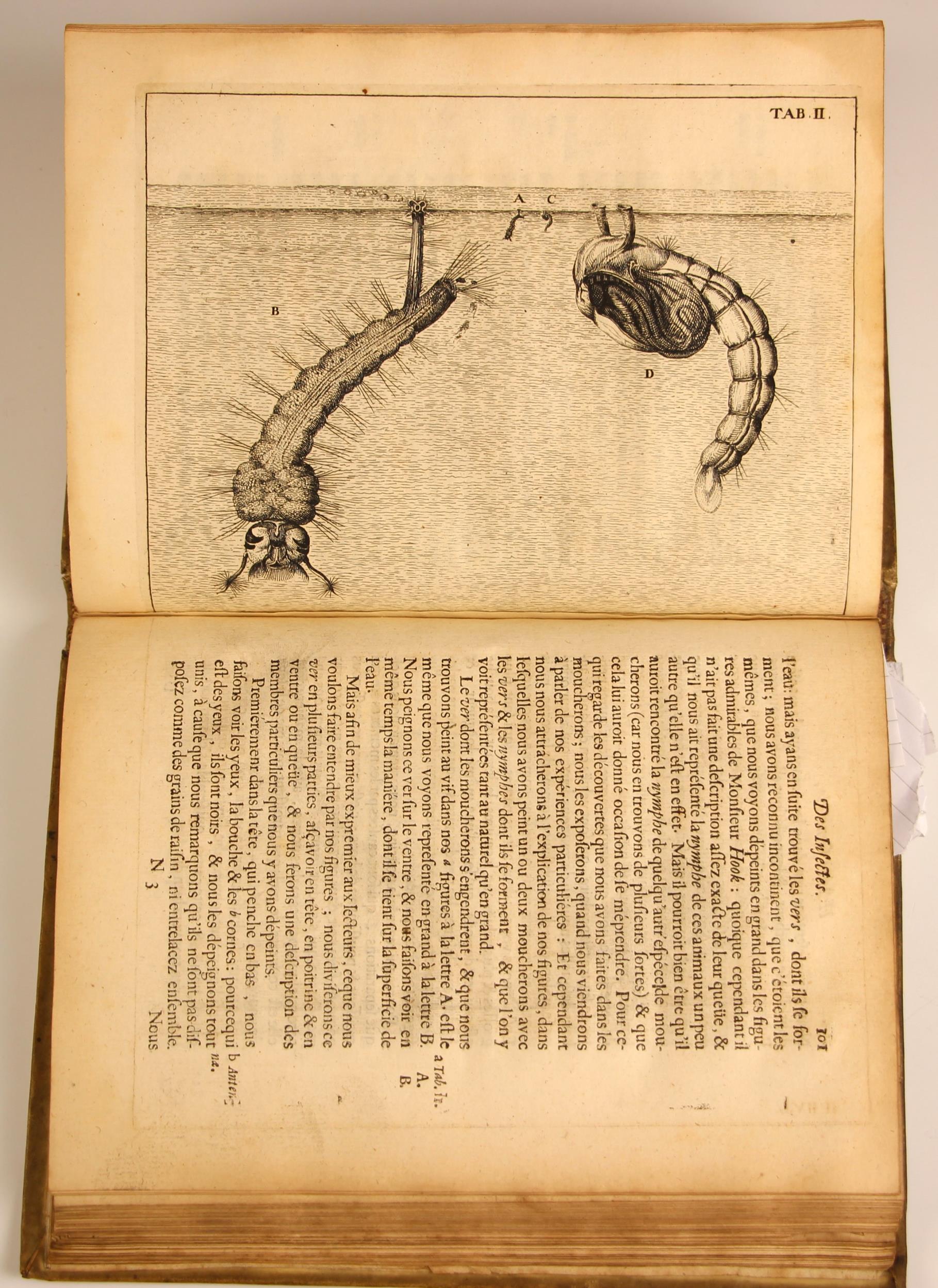 Swammerdam (Jean), HISTOIRE GENERALE DES INSECTES, full vellum, laid paper, fold-out annotation - Image 4 of 19