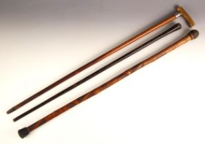 A silver collared walking cane, with horn handle, the collar marked for Birmingham 1892, 89cm