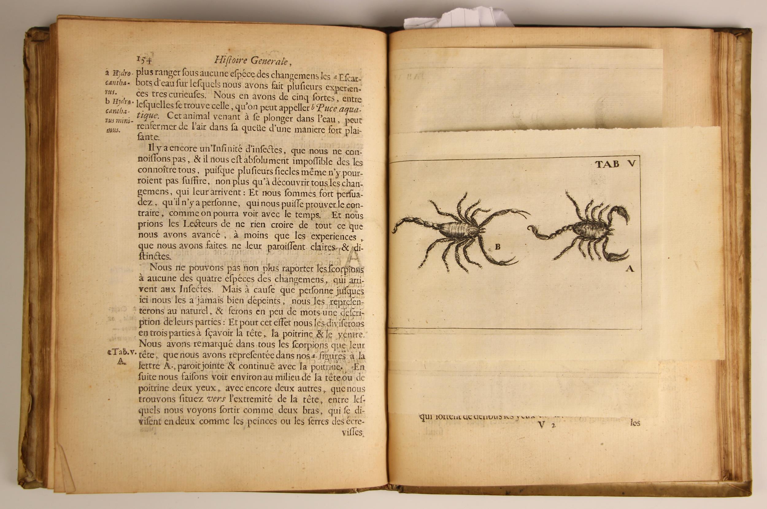 Swammerdam (Jean), HISTOIRE GENERALE DES INSECTES, full vellum, laid paper, fold-out annotation - Image 7 of 19