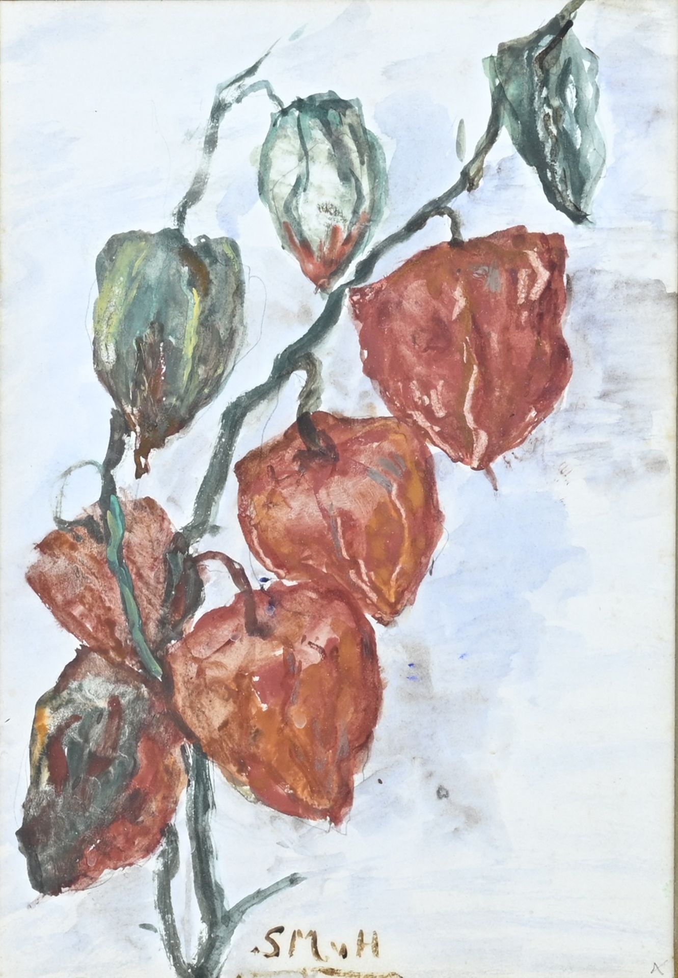 Sientje Mesdag van Houten, Lantern plant