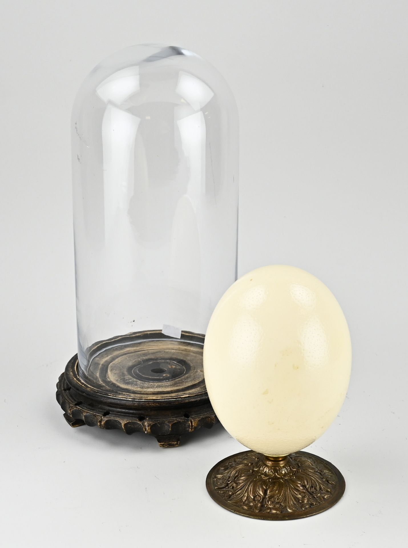 Ostrich egg under dome - Image 2 of 2