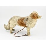 German mohair dog