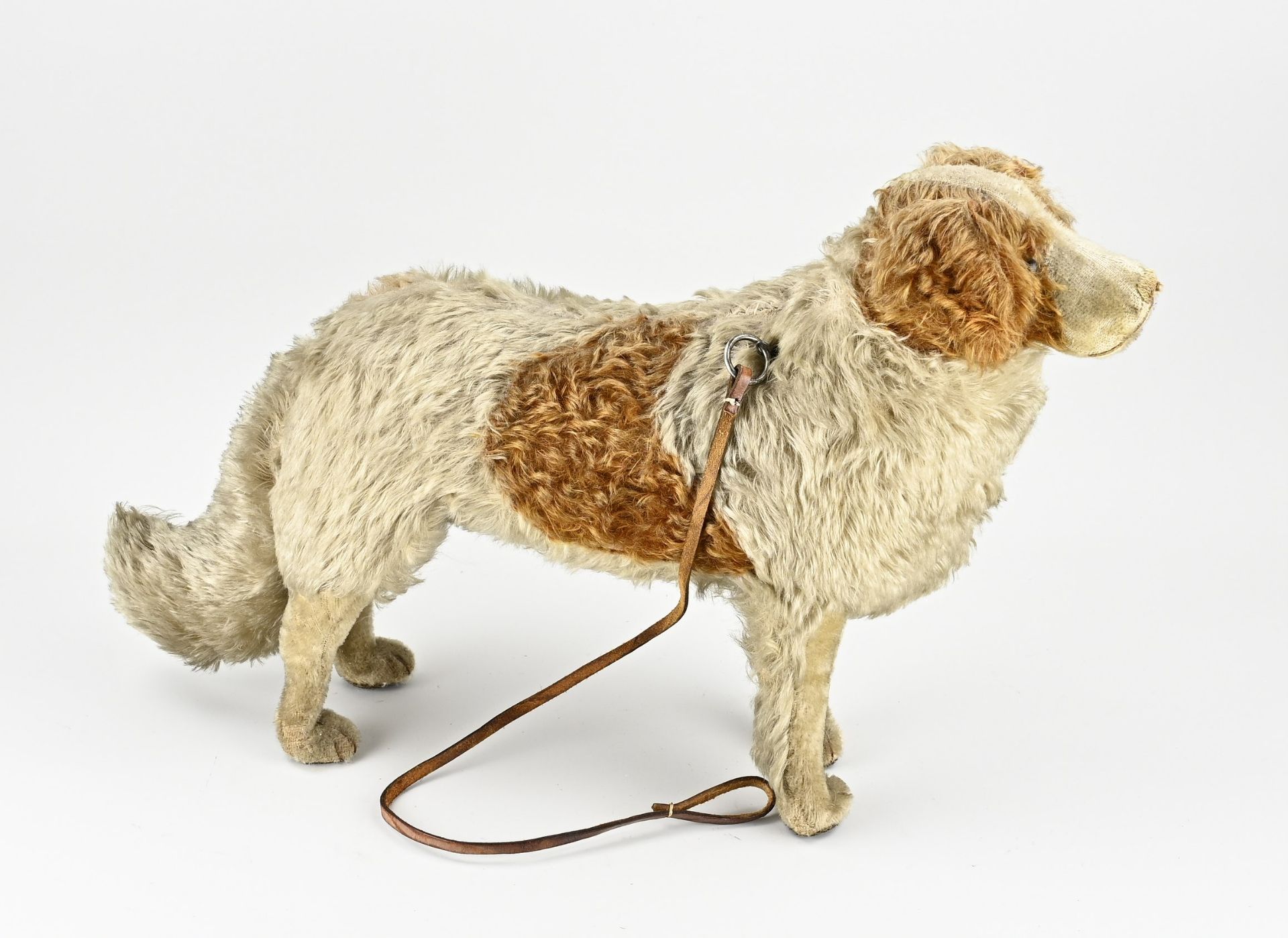 German mohair dog