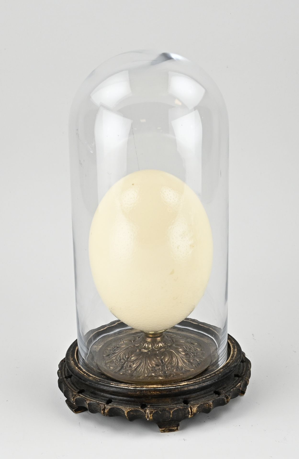 Ostrich egg under dome