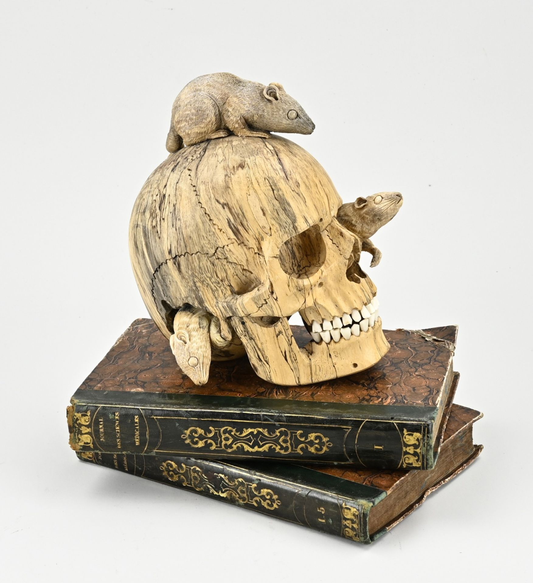 Memento mori wooden skull