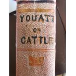 W Youatt -Youatt on Cattle, 1834, 600 pages with 1967 receipt