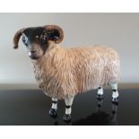 Black Faced Ram Figurine signed John Beswick