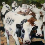 Lesley Heath Study of Cow Framed and Signed Oil Painting, 38.5cm x 38.5cm