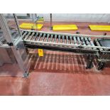 Case Conveyor