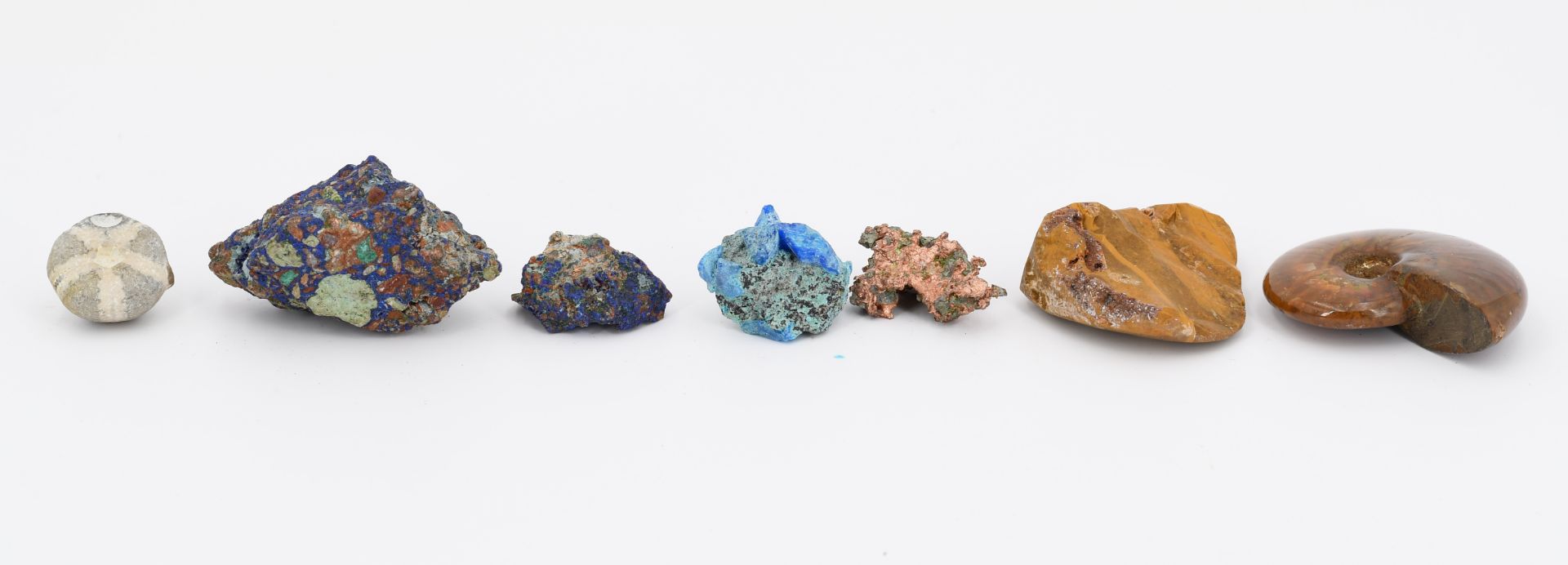 Group of Various Minerals and 3 Fossilizations - Image 9 of 26