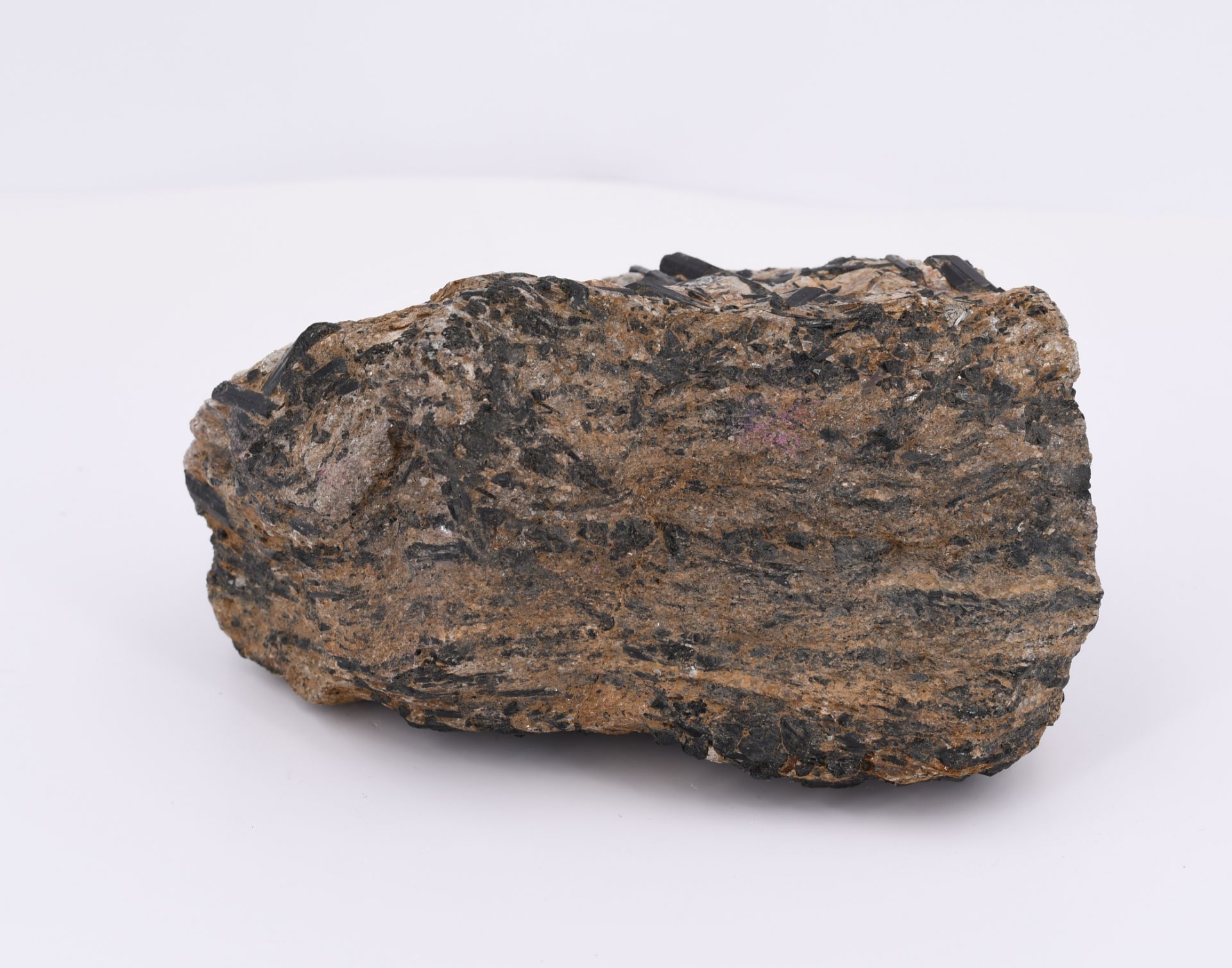 Group of Various Minerals and 3 Fossilizations - Image 25 of 26