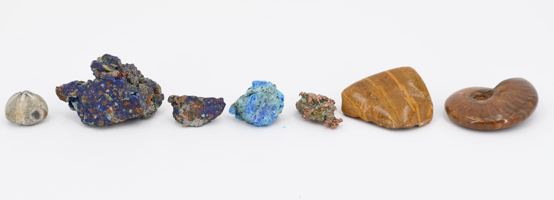 Group of Various Minerals and 3 Fossilizations - Image 10 of 26