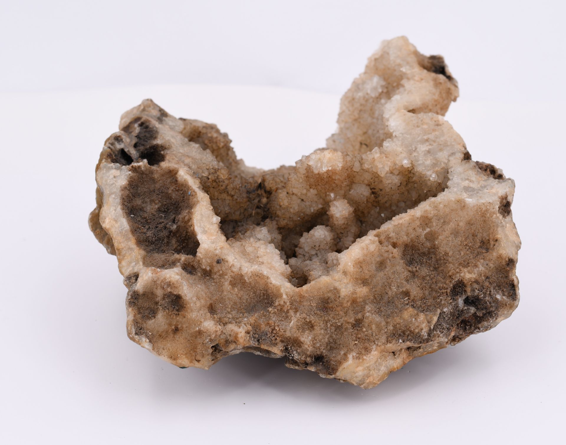 Group of Various Minerals and 3 Fossilizations - Image 24 of 26