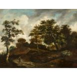 Jakob Isaackszoon van Ruisdael - Nachfolge: Waldweg in den Dünen