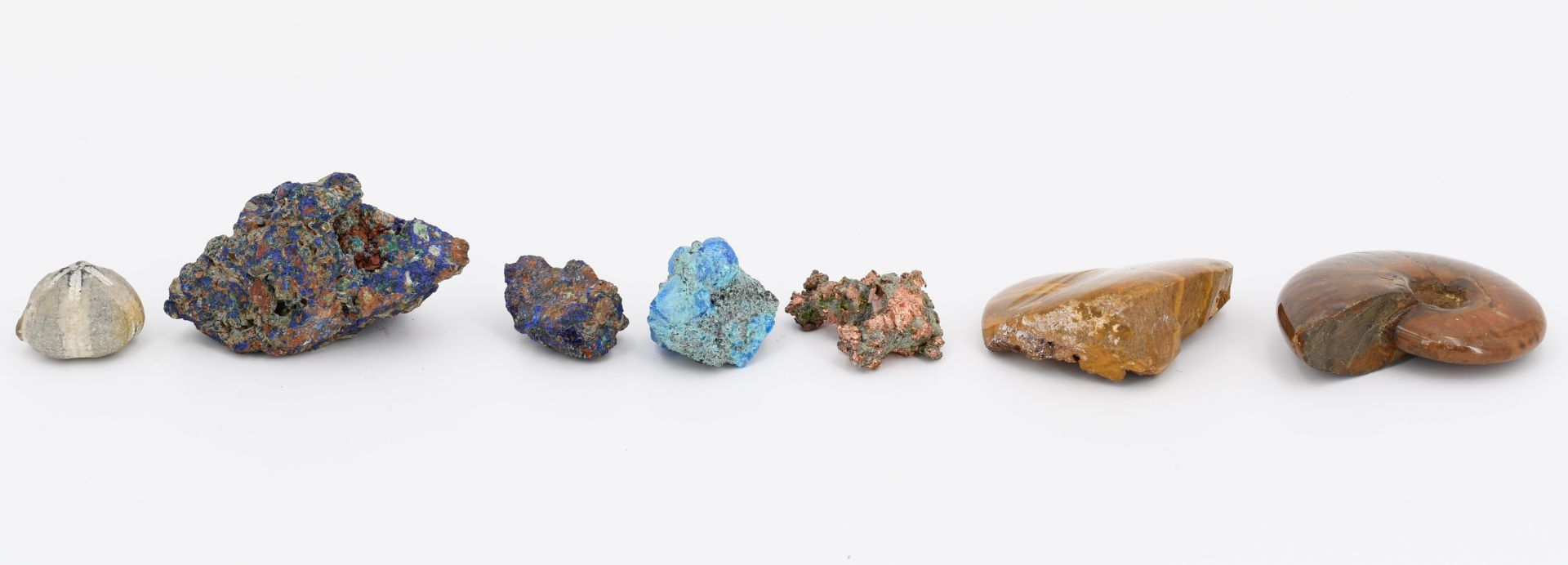 Group of Various Minerals and 3 Fossilizations - Image 11 of 26