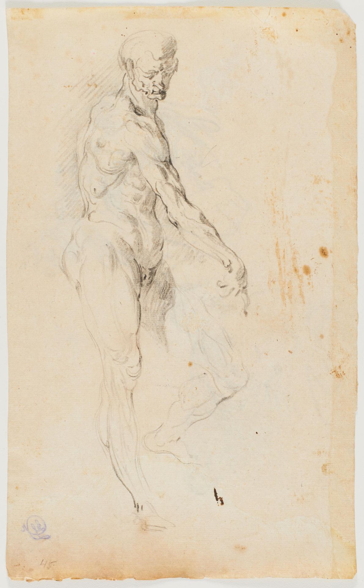 Sienese School: Sketch with Male Nude