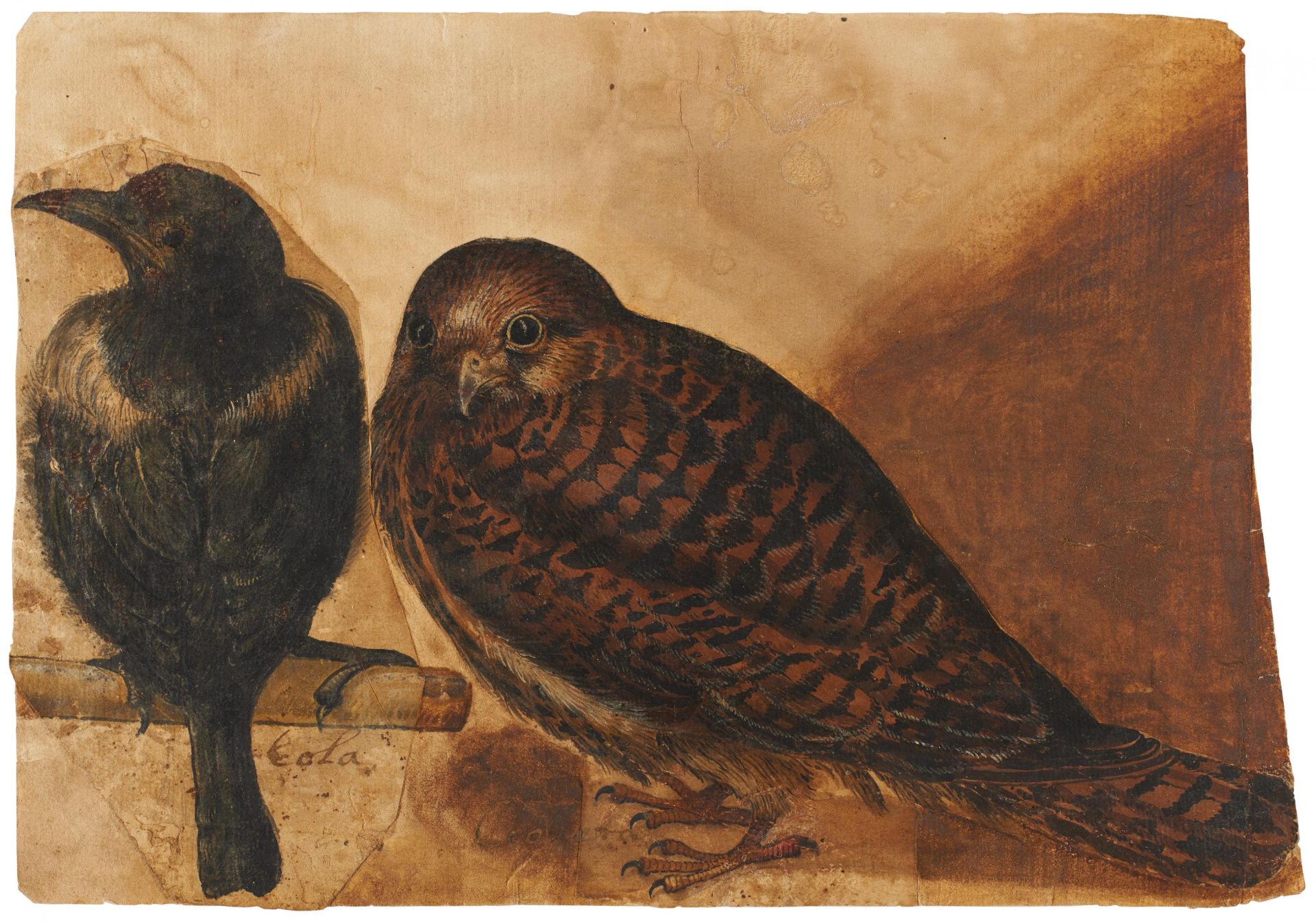 Italian School: A Kestrel and a Magpie