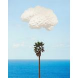 John Baldessari: Brain Cloud (With Seascape and Palm Tree)