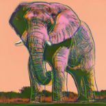 Andy Warhol: African Elephant. Aus: Endangered Species