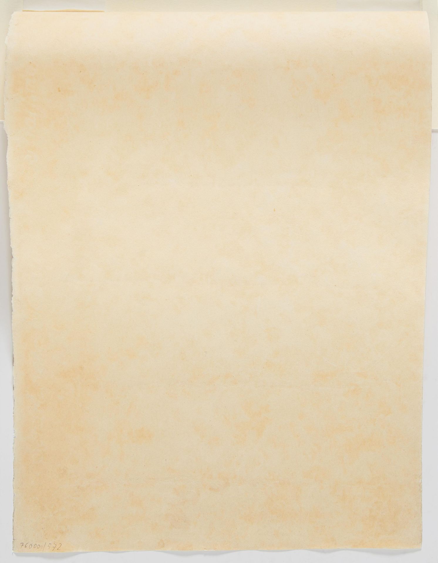 Egon Schiele: Untitled (Liegender Akt mit erhobenen Beinen) - Image 3 of 3