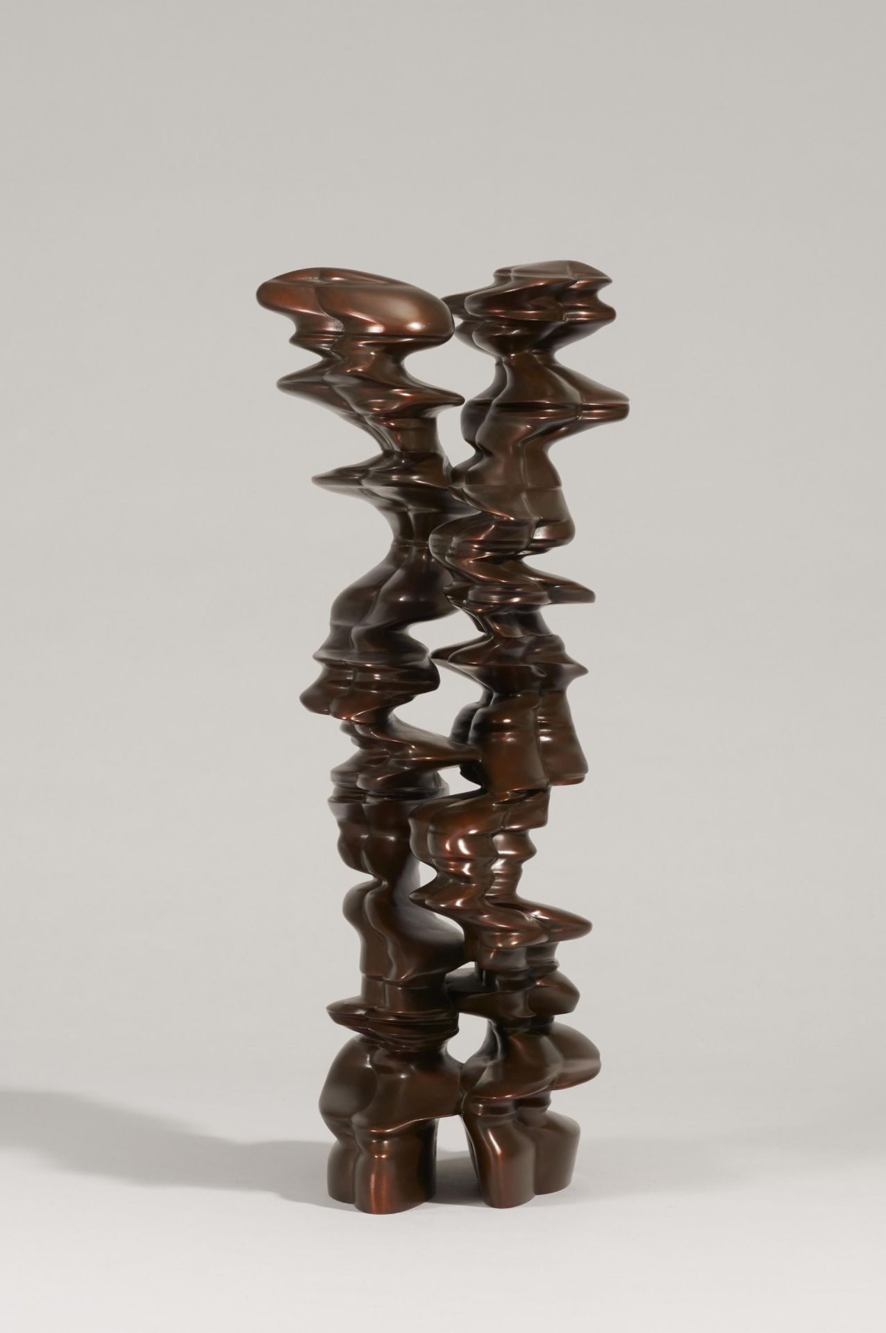 Tony Cragg: Runner - Image 3 of 4