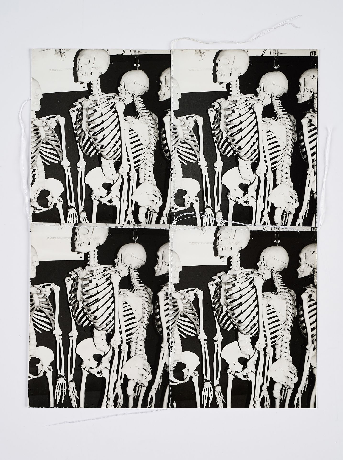 Andy Warhol: Photo-Edition for Parkett (für Parkett 12)