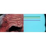 John Baldessari: Raised Eyebrows / Furrowed Foreheads: Crooked Made Straight (für Parkett 86)