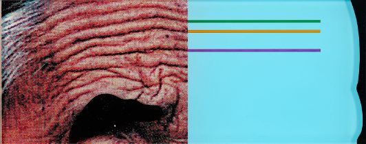 John Baldessari: Raised Eyebrows / Furrowed Foreheads: Crooked Made Straight (für Parkett 86)