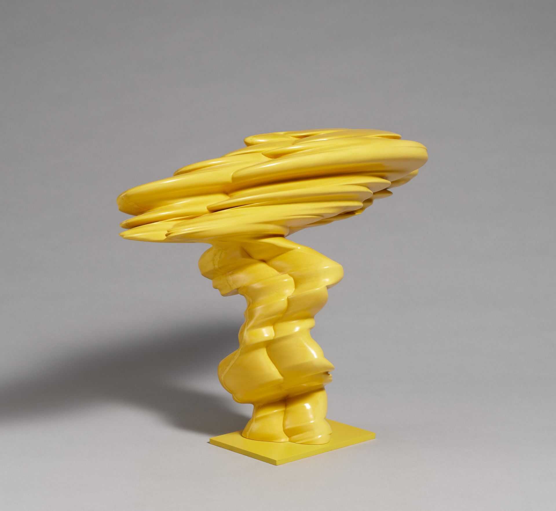 Tony Cragg: Laster - Image 4 of 4