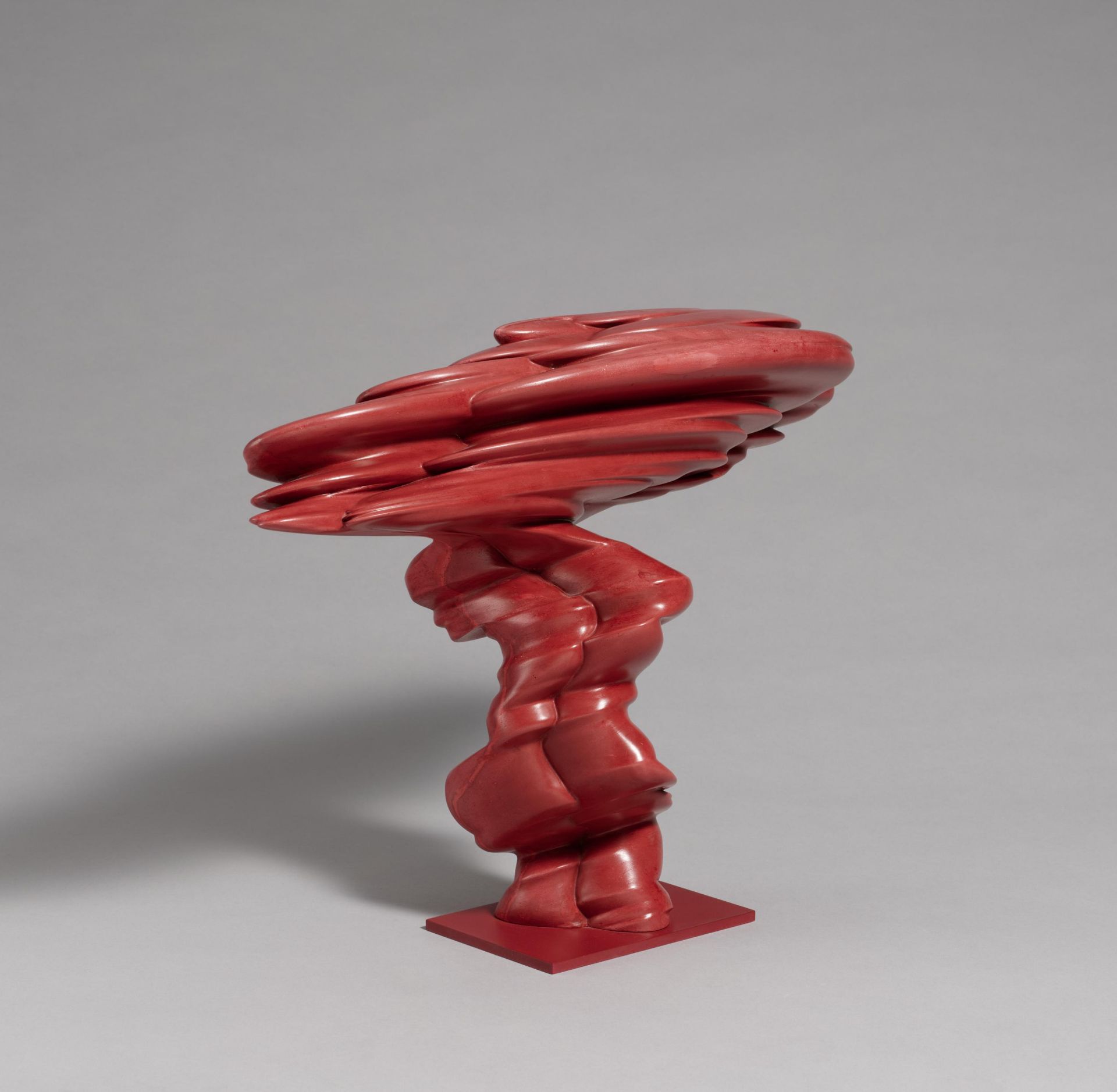 Tony Cragg: Laster - Image 4 of 4