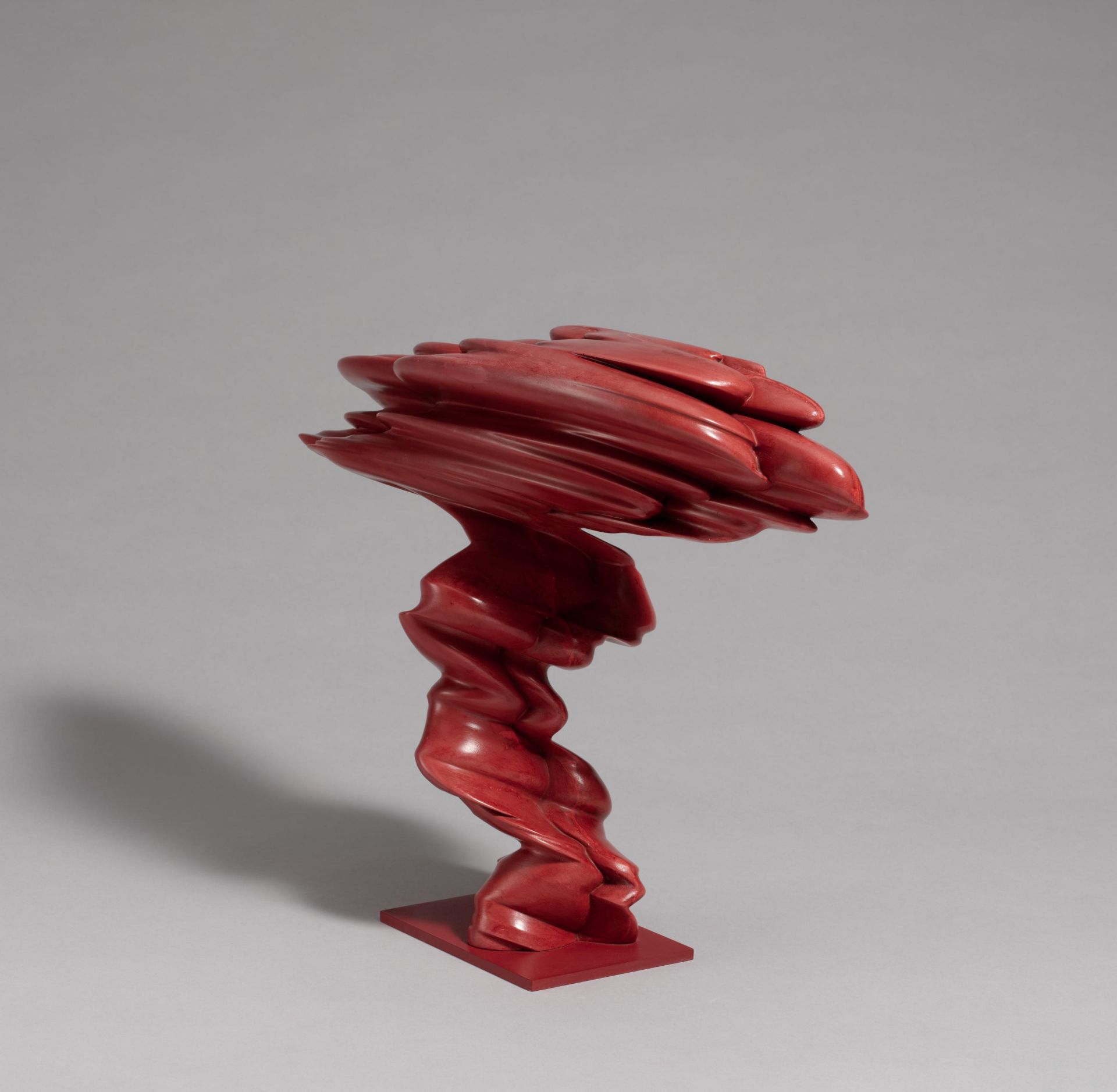 Tony Cragg: Laster - Image 2 of 4