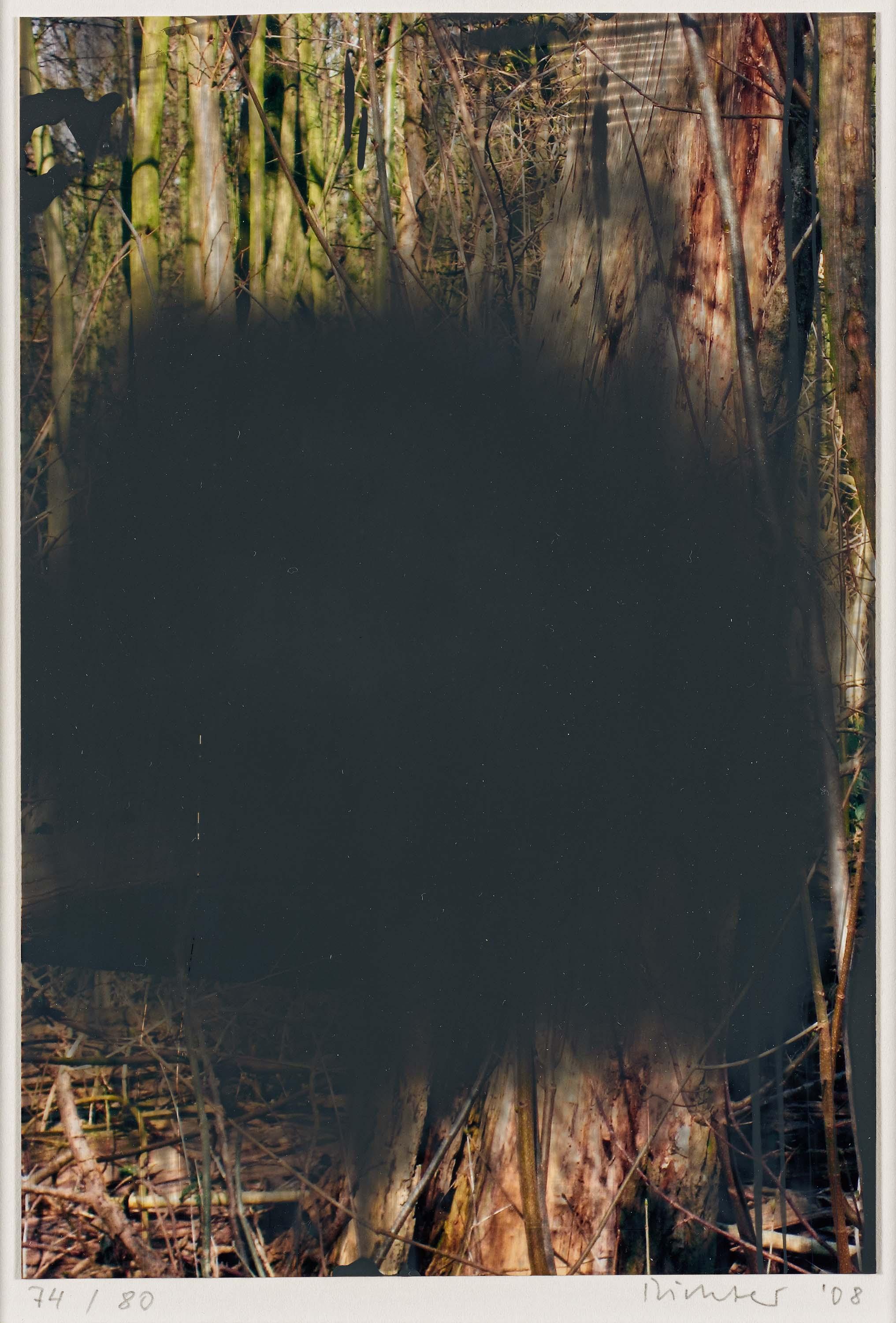 Gerhard Richter: Wald (74/80). From: Wald II