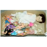 GRP inc Dolls 1x Large Doll, 8x Barbie Dolls