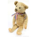 American 20th century early mohair teddy bear