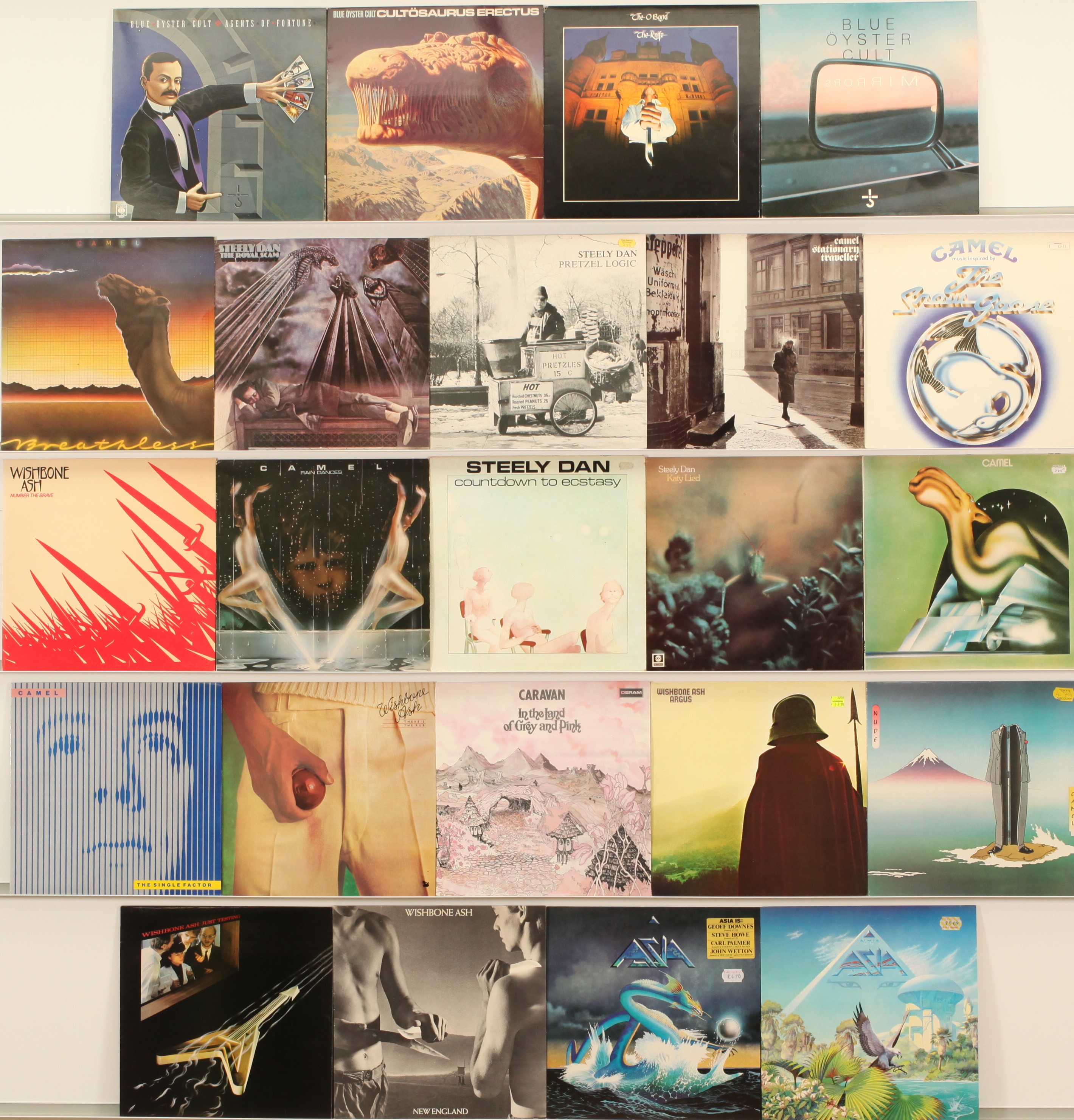 A  collection of Prog Rock LPs 