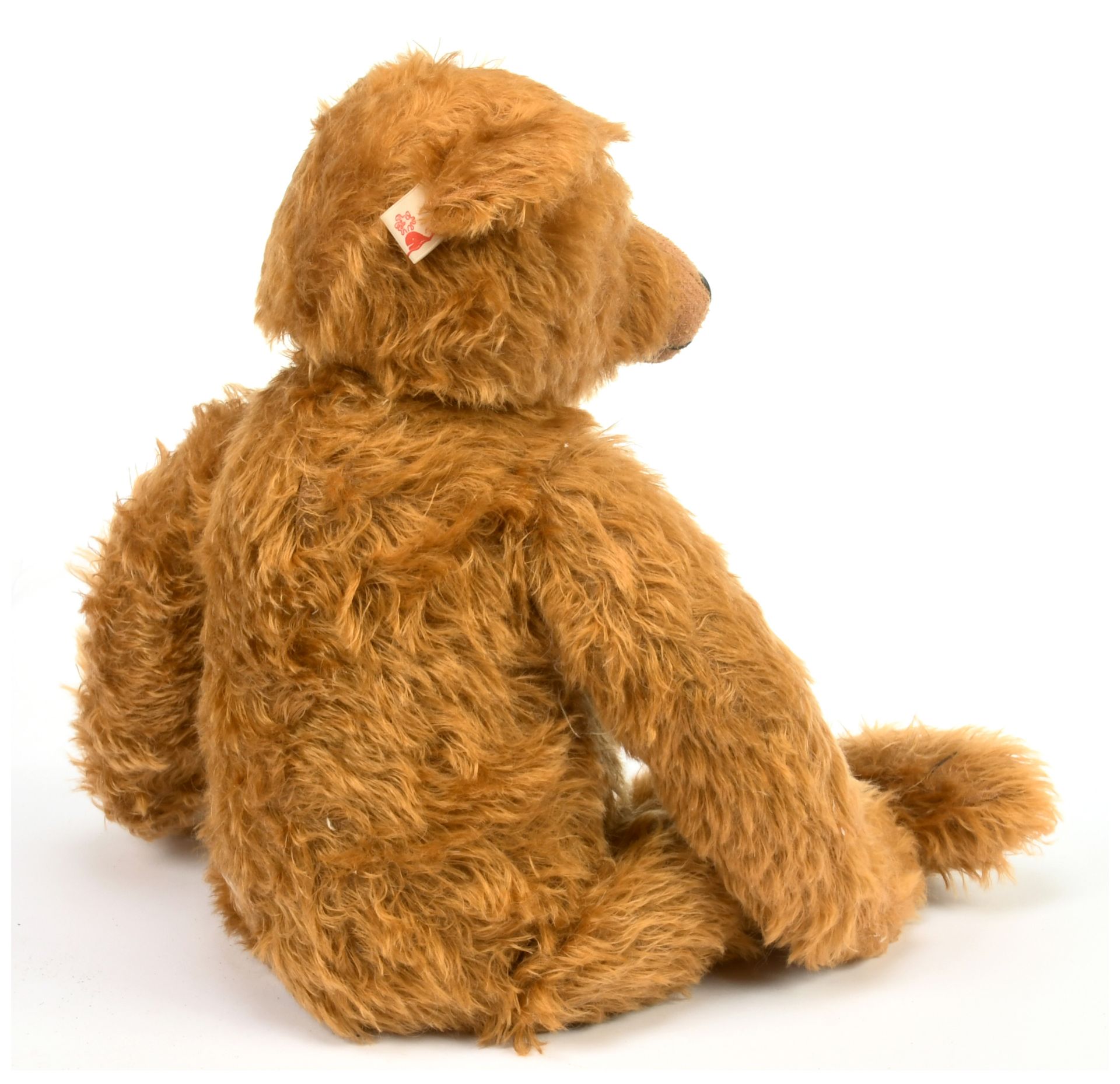 Atlantic Bears McGruff teddy bear - Image 2 of 2