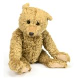 Atlantic Bears Toby teddy bear