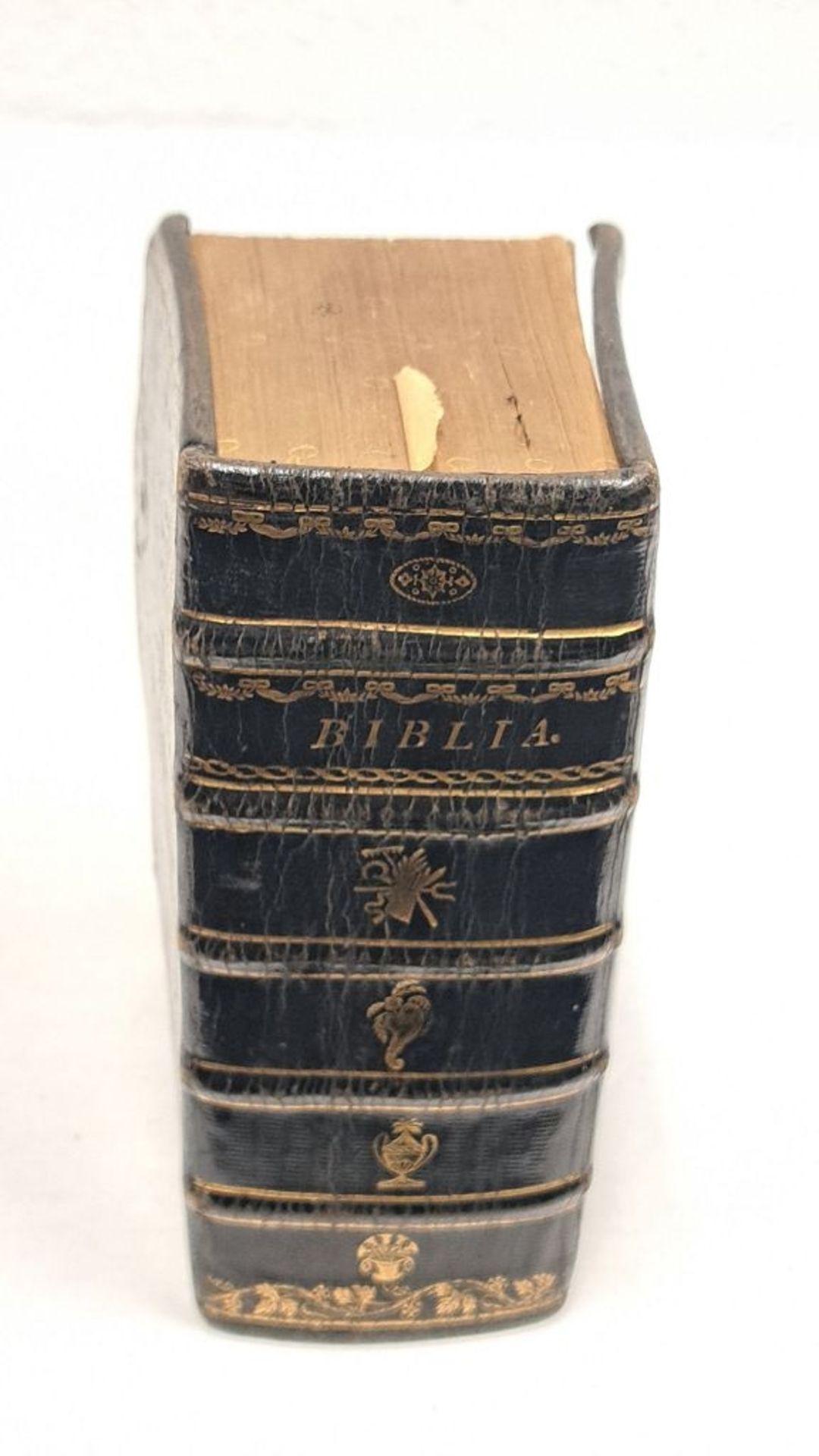 Antike Bibel 1812 Gröpelingen (Bremen) - Bild 5 aus 5