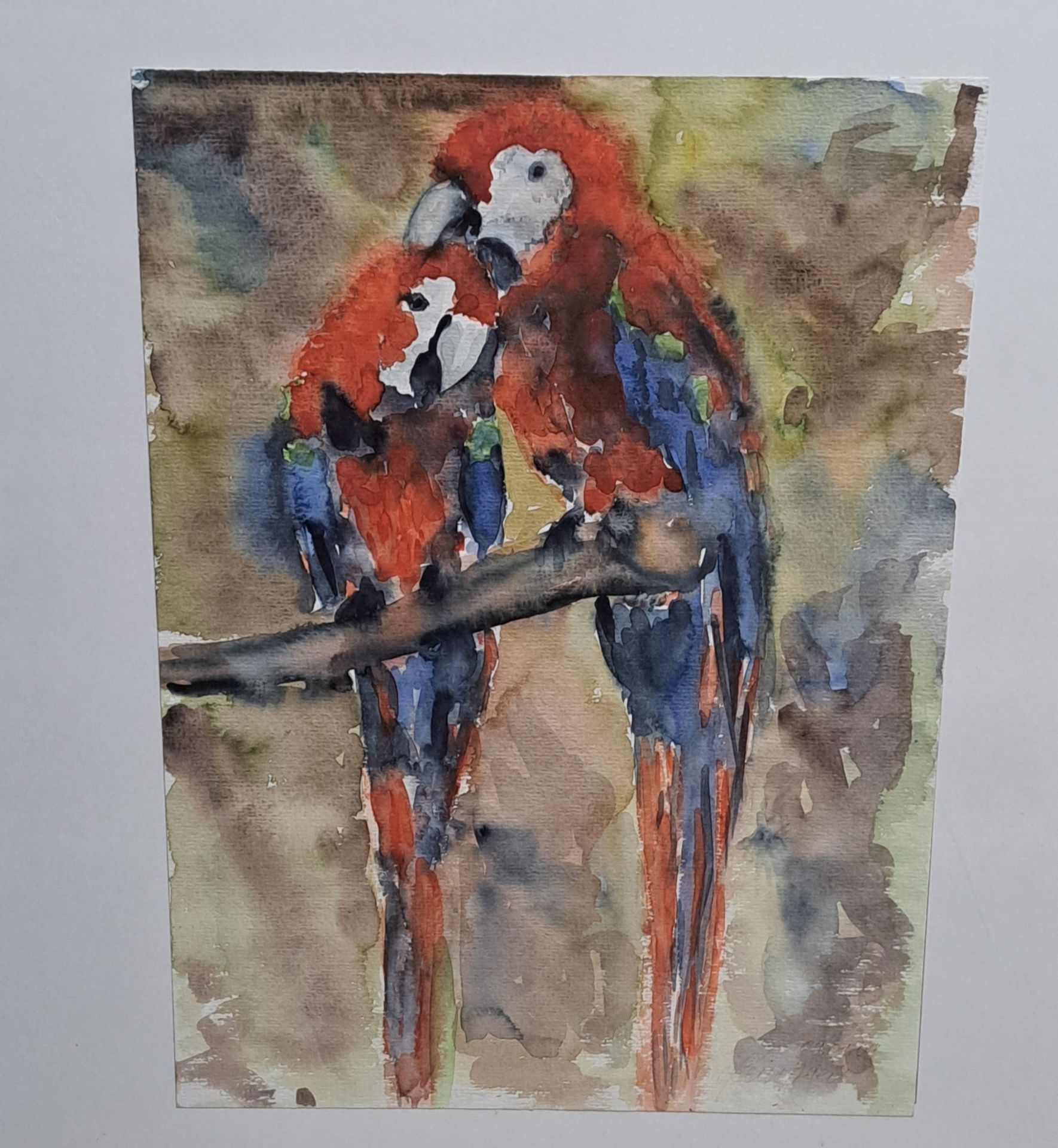 Bild Papageienpaar