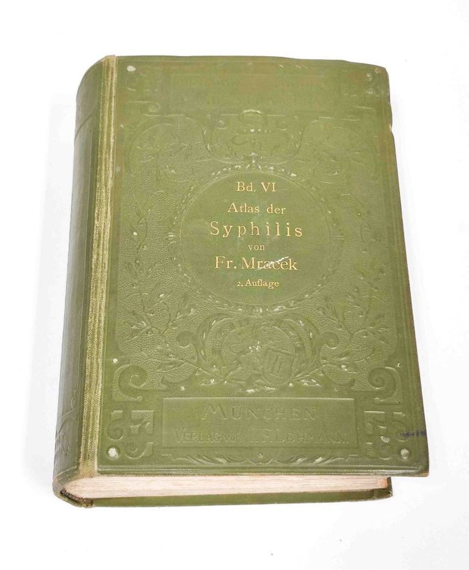 Antikes Medizinbuch Atlas der Syphilis 1898 - Bild 2 aus 2