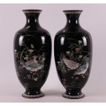 A pair of cloisonné vases, Japan, 20th century. Polychrome decor of ducks between reeds, h 31 cm,
