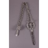 A pair of scissors with silver handles on a silver jasseron necklace with parrot
